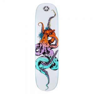 skateboard_welcome_seahorse_2_on_amulet_8_12_1