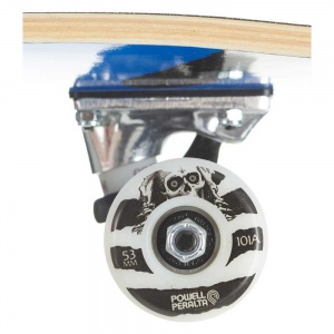 skateboards_completo_powell_peralta_vato_rat_royal_blue_8_0_4