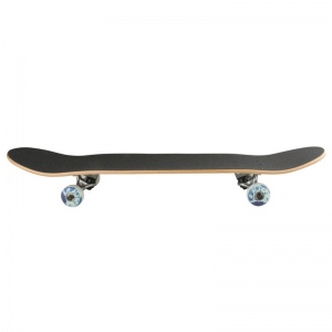 skateboards_element_link_seal-8_4