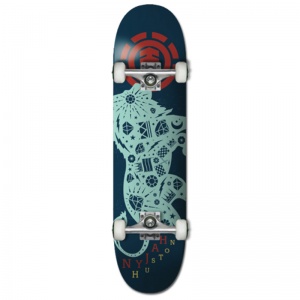 skateboards_element_nyjah_beastmode_7_75_1