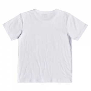 t_shirt_dc_shoes_boys_blaster_snow_white_2