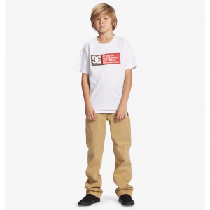 t_shirt_dc_shoes_boys_dc_density_zone_white_6