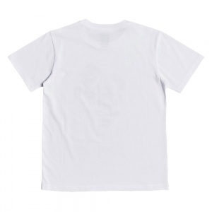 t_shirt_dc_shoes_boys_pitbowl_white_2