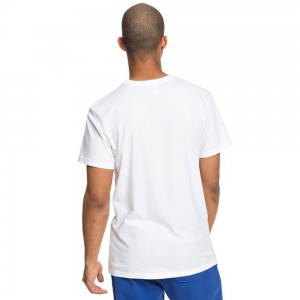 t_shirt_dc_shoes_crasingle_snow_white_3