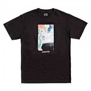 t_shirt_dc_shoes_star_head_mural_black_1