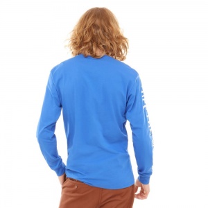 t_shirt_long_sleeve_vans_x_anti_hero_on_the_wire_royal_blue_5