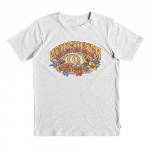 t_shirt_quiksilver_boys_phantasy_land_youth_gardenia_heather_1