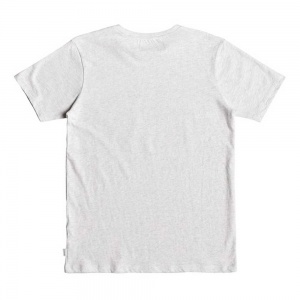 t_shirt_quiksilver_boys_phantasy_land_youth_gardenia_heather_2