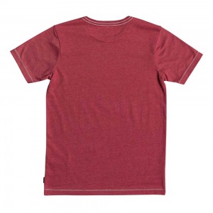 t_shirt_quiksilver_boys_stormy_rider_youth_brick_red_heather_2