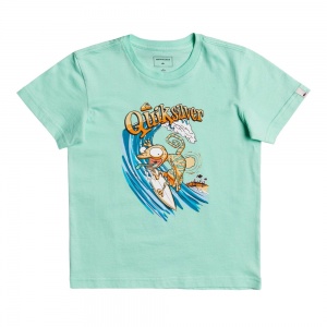 t_shirt_quiksilver_break_the_fall_boys_cabbage_1