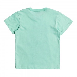 t_shirt_quiksilver_break_the_fall_boys_cabbage_2