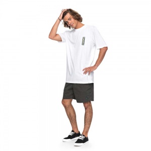 t_shirt_quiksilver_gmt_dye_framers_up_white_4
