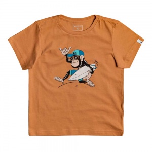 t_shirt_quiksilver_young_boys_banana_alley_boy_apricot_buff_1
