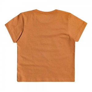 t_shirt_quiksilver_young_boys_banana_alley_boy_apricot_buff_2