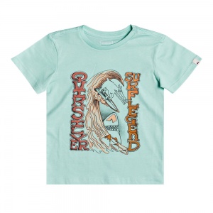 t_shirt_quiksilver_young_boys_diving_to_deep_beach_glass_1