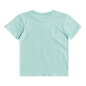 t_shirt_quiksilver_young_boys_diving_to_deep_beach_glass_2