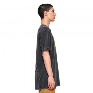 t_shirt_santa_cruz_natas_panther_front_black_3
