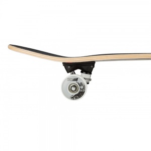 tony_hawk_complete_hunter_mini_multi_7_5_4_1885622687