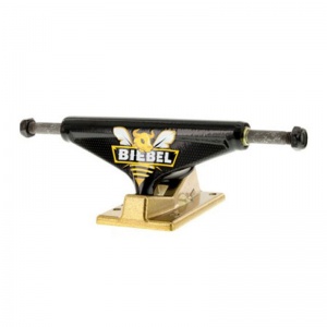 trucks_venture_team_pro_brandon_biebel_5_25_low_black_3