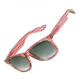 vans_spicoli_4_shades_fiery_red_gingham_4